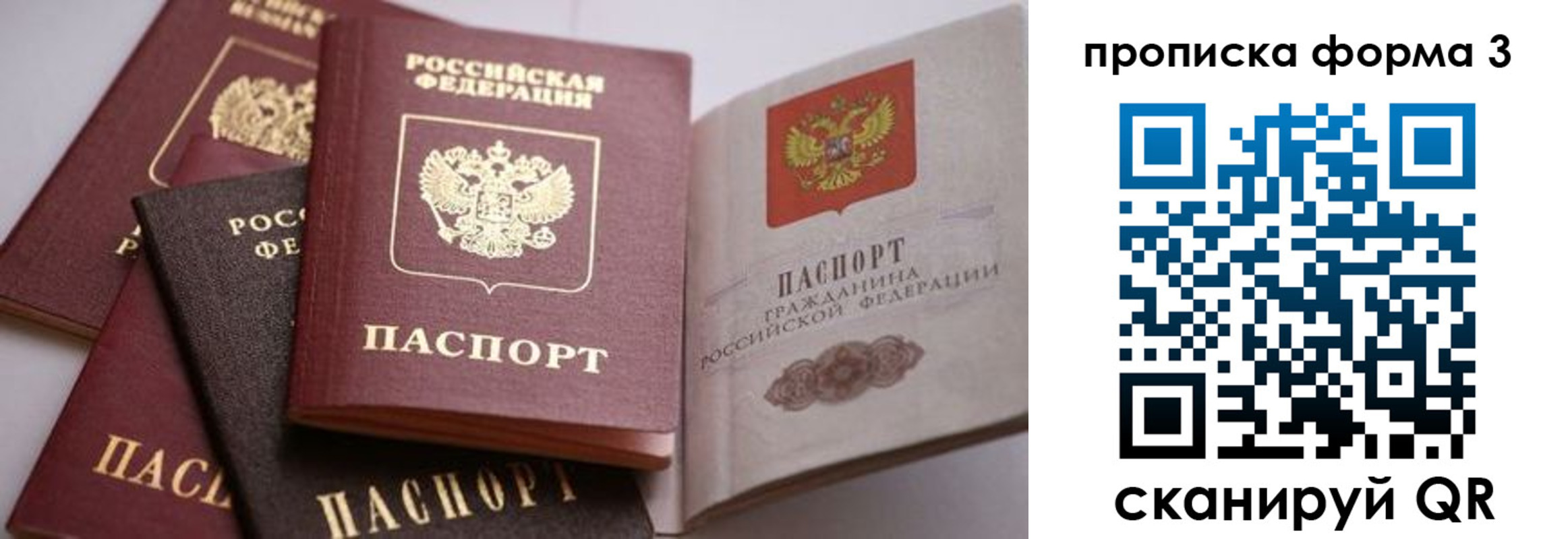 прописка для школы в Сясьстрое